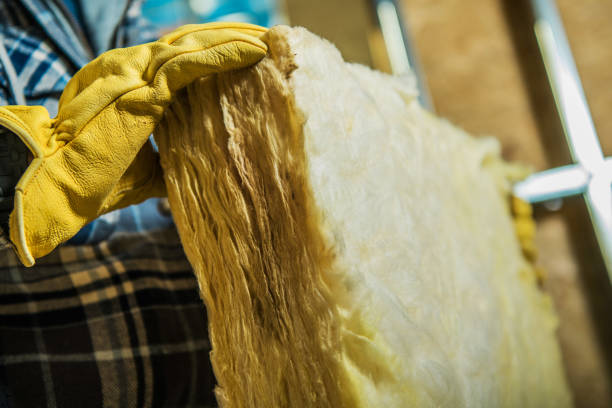 Best Blown-in Insulation in Gregory, TX