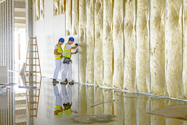 Best Geographic-Specific Insulation Services in Gregory, TX